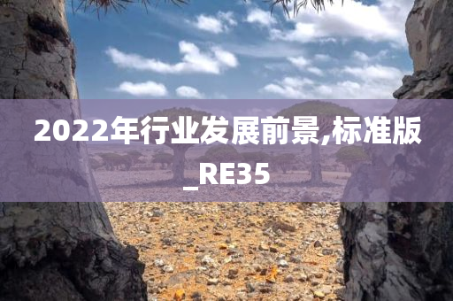 2022年行业发展前景,标准版_RE35