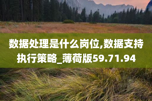 数据处理是什么岗位,数据支持执行策略_薄荷版59.71.94