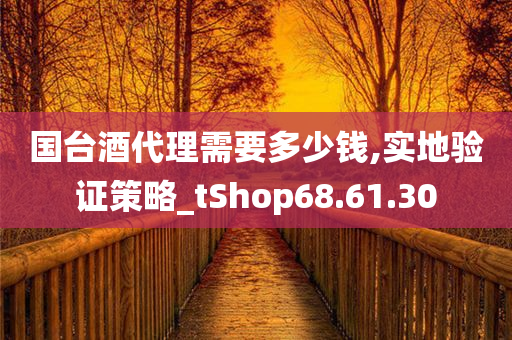 国台酒代理需要多少钱,实地验证策略_tShop68.61.30