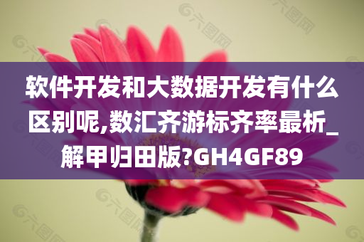 软件开发和大数据开发有什么区别呢,数汇齐游标齐率最析_解甲归田版?GH4GF89