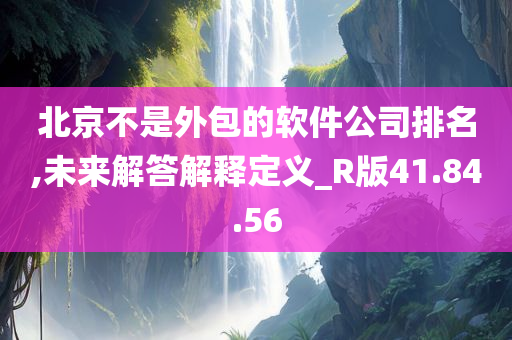 北京不是外包的软件公司排名,未来解答解释定义_R版41.84.56