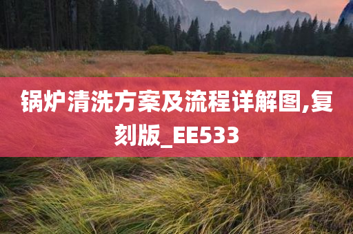 锅炉清洗方案及流程详解图,复刻版_EE533