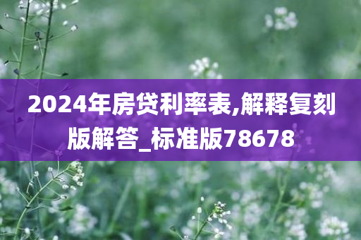 2024年房贷利率表,解释复刻版解答_标准版78678