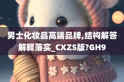 男士化妆品高端品牌,结构解答解释落实_CXZS版?GH9