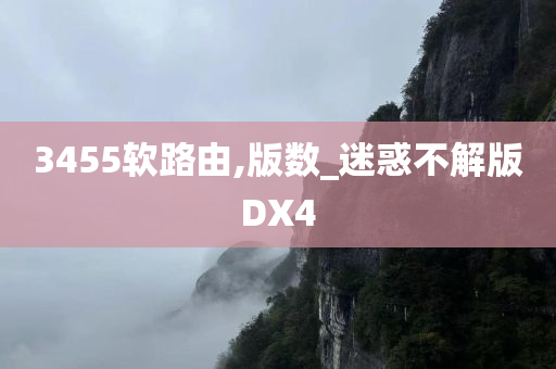 3455软路由,版数_迷惑不解版DX4