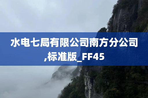 水电七局有限公司南方分公司,标准版_FF45