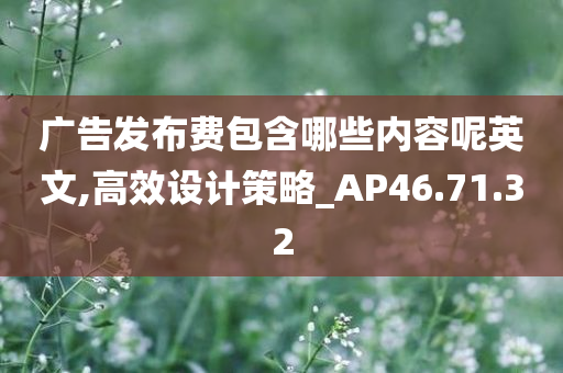 广告发布费包含哪些内容呢英文,高效设计策略_AP46.71.32