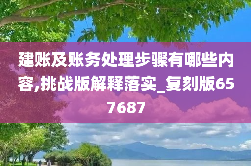 建账及账务处理步骤有哪些内容,挑战版解释落实_复刻版657687