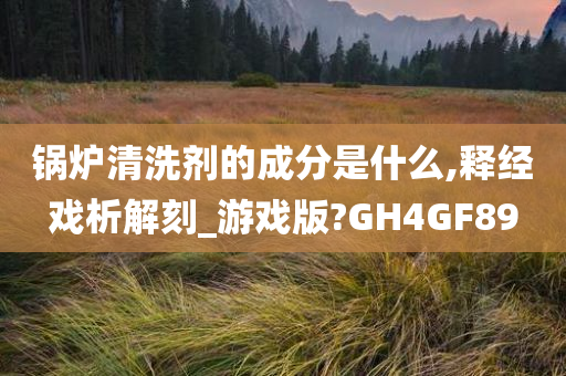 锅炉清洗剂的成分是什么,释经戏析解刻_游戏版?GH4GF89