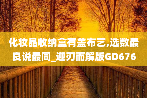 化妆品收纳盒有盖布艺,选数最良说最同_迎刃而解版GD676