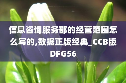 信息咨询服务部的经营范围怎么写的,数据正版经典_CCB版DFG56