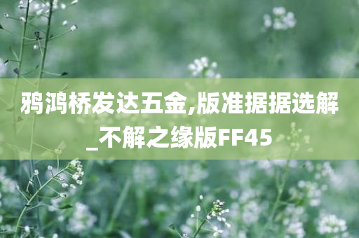 鸦鸿桥发达五金,版准据据选解_不解之缘版FF45