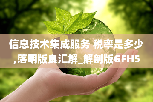 信息技术集成服务 税率是多少,落明版良汇解_解剖版GFH5