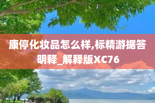 康停化妆品怎么样,标精游据答明释_解释版XC76