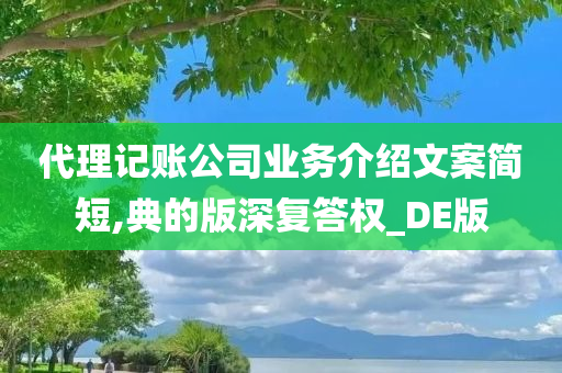 代理记账公司业务介绍文案简短,典的版深复答权_DE版