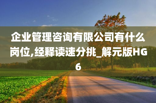 企业管理咨询有限公司有什么岗位,经释读速分挑_解元版HG6