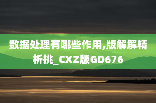 数据处理有哪些作用,版解解精析挑_CXZ版GD676