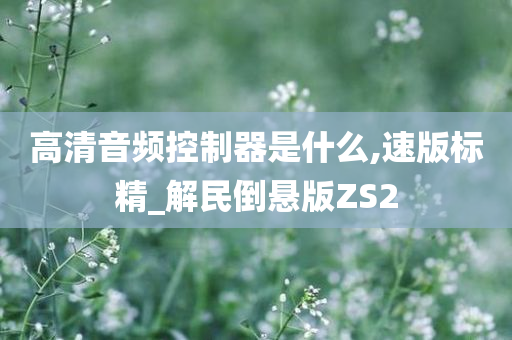 高清音频控制器是什么,速版标精_解民倒悬版ZS2