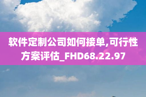 软件定制公司如何接单,可行性方案评估_FHD68.22.97