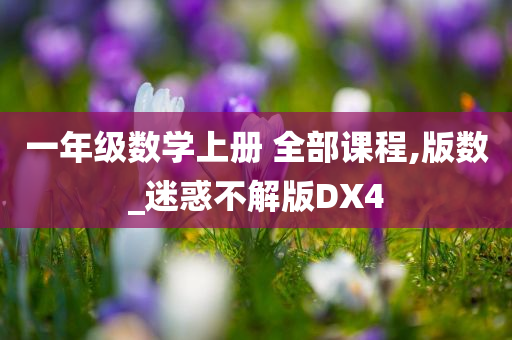 一年级数学上册 全部课程,版数_迷惑不解版DX4