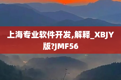 上海专业软件开发,解释_XBJY版?JMF56