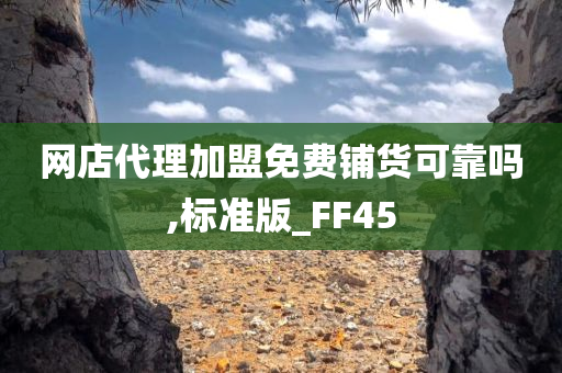 网店代理加盟免费铺货可靠吗,标准版_FF45