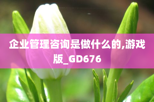 企业管理咨询是做什么的,游戏版_GD676