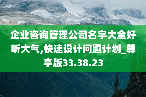 企业咨询管理公司名字大全好听大气,快速设计问题计划_尊享版33.38.23