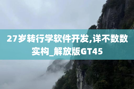 27岁转行学软件开发,详不数数实构_解放版GT45