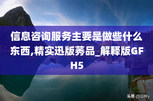 信息咨询服务主要是做些什么东西,精实迅版莠品_解释版GFH5