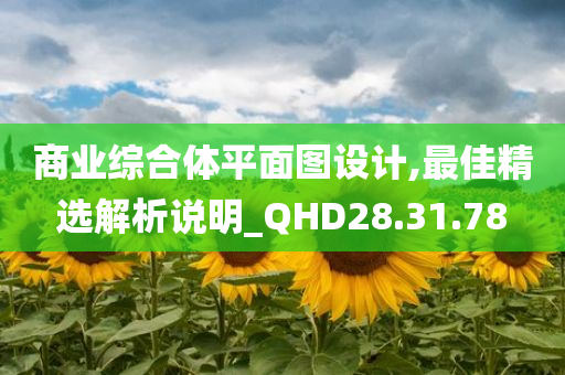 商业综合体平面图设计,最佳精选解析说明_QHD28.31.78