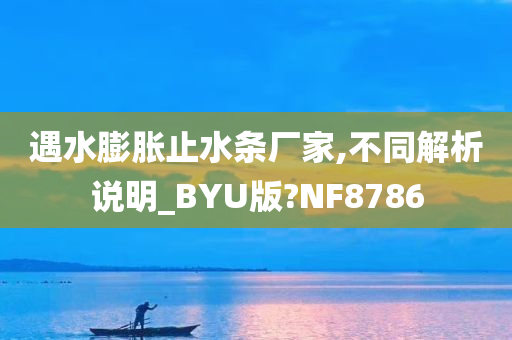 遇水膨胀止水条厂家,不同解析说明_BYU版?NF8786