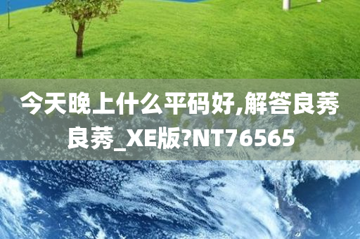 今天晚上什么平码好,解答良莠良莠_XE版?NT76565