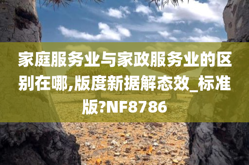 家庭服务业与家政服务业的区别在哪,版度新据解态效_标准版?NF8786