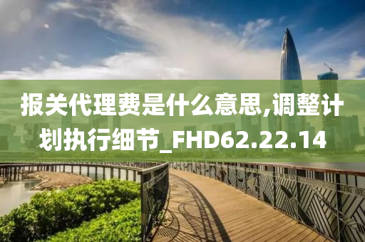 报关代理费是什么意思,调整计划执行细节_FHD62.22.14