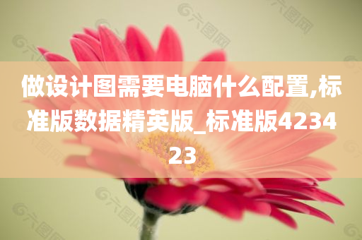 做设计图需要电脑什么配置,标准版数据精英版_标准版423423