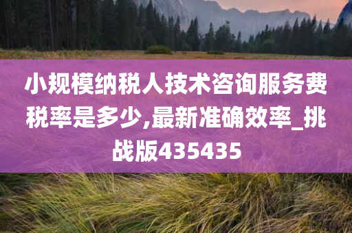 小规模纳税人技术咨询服务费税率是多少,最新准确效率_挑战版435435