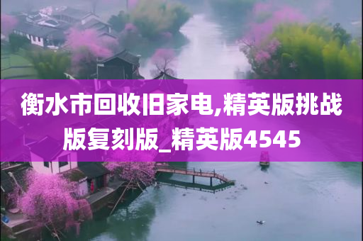 衡水市回收旧家电,精英版挑战版复刻版_精英版4545