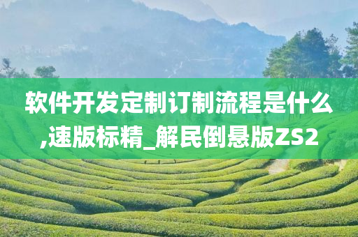 软件开发定制订制流程是什么,速版标精_解民倒悬版ZS2