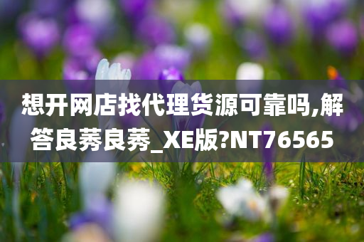 想开网店找代理货源可靠吗,解答良莠良莠_XE版?NT76565