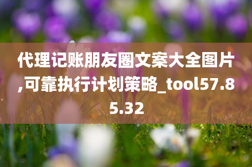 代理记账朋友圈文案大全图片,可靠执行计划策略_tool57.85.32