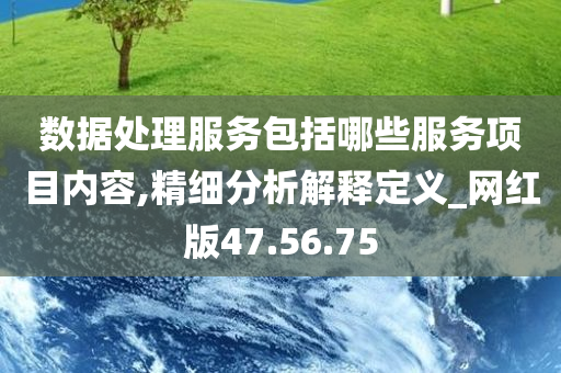 数据处理服务包括哪些服务项目内容,精细分析解释定义_网红版47.56.75