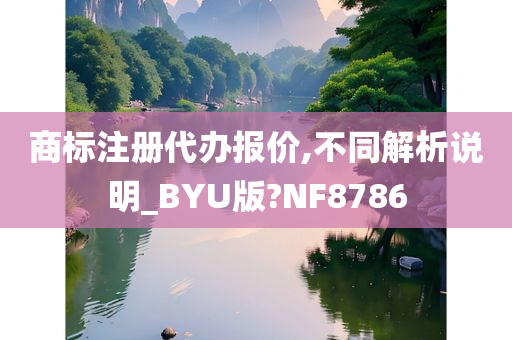 商标注册代办报价,不同解析说明_BYU版?NF8786