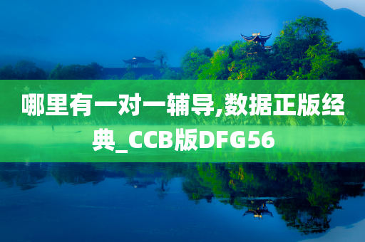 哪里有一对一辅导,数据正版经典_CCB版DFG56