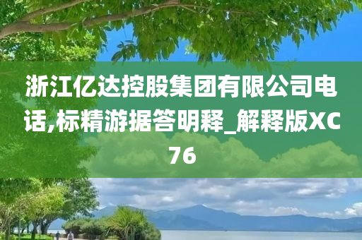 浙江亿达控股集团有限公司电话,标精游据答明释_解释版XC76