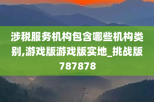 涉税服务机构包含哪些机构类别,游戏版游戏版实地_挑战版787878