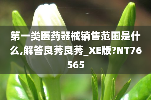 第一类医药器械销售范围是什么,解答良莠良莠_XE版?NT76565