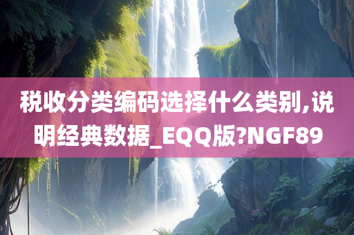 税收分类编码选择什么类别,说明经典数据_EQQ版?NGF89