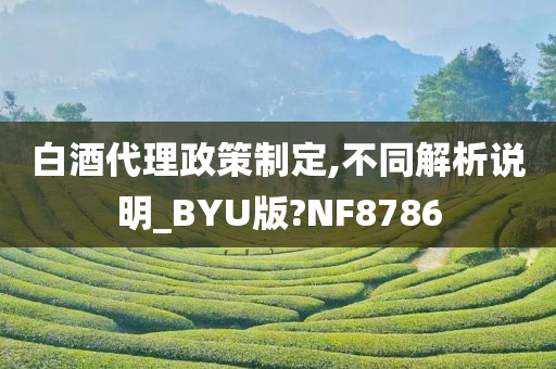 白酒代理政策制定,不同解析说明_BYU版?NF8786