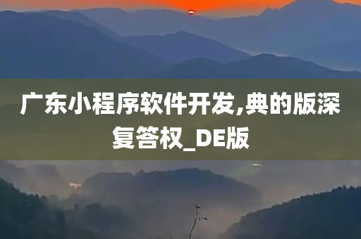 广东小程序软件开发,典的版深复答权_DE版